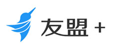 北京网站建设合作伙伴 友盟