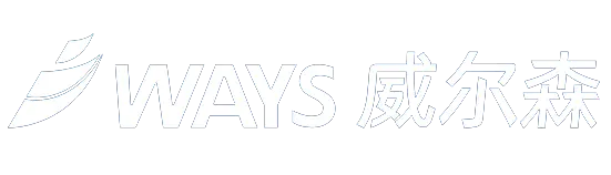 威尔森 
